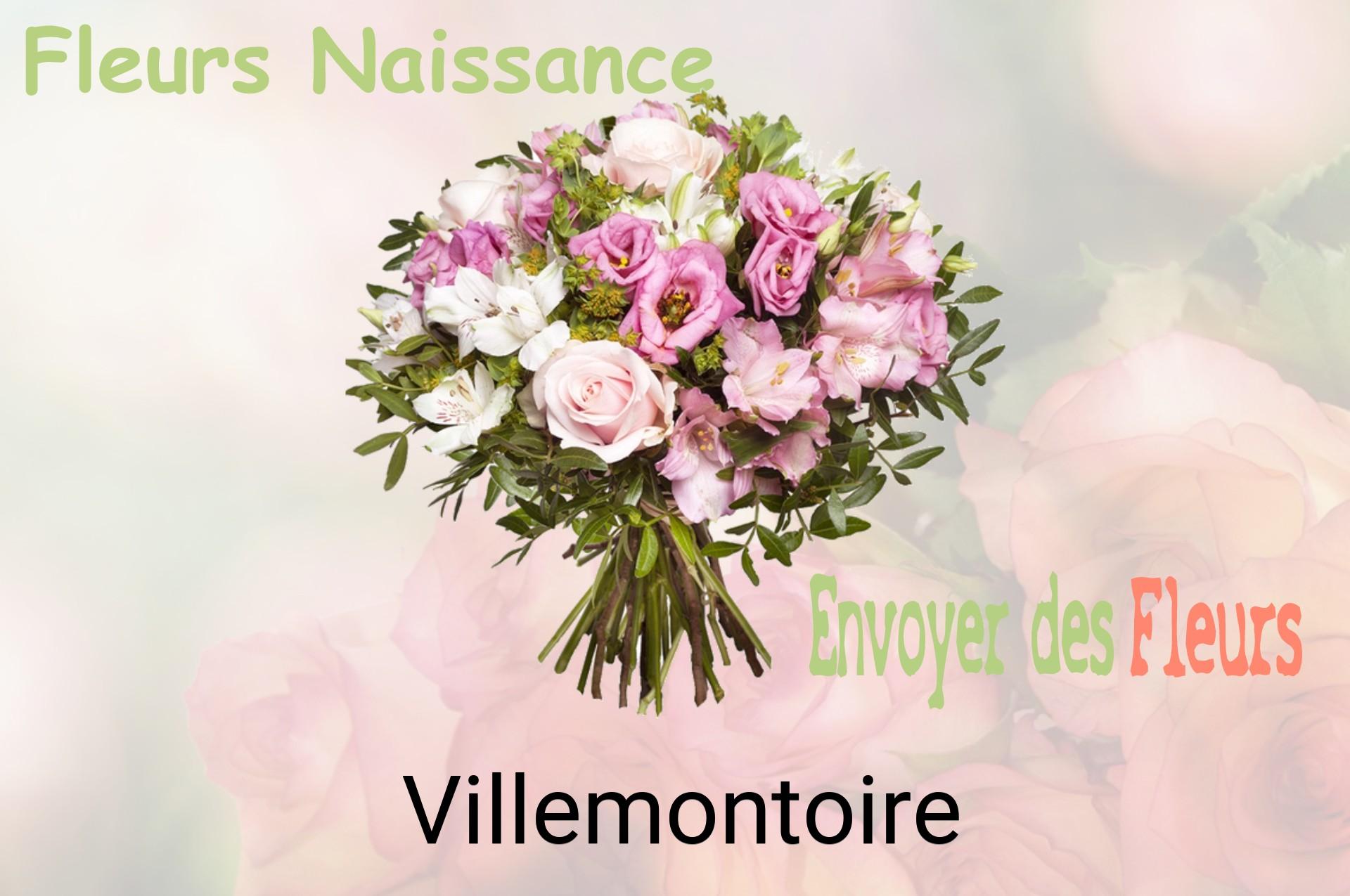 Bouquet de fleurs de naissance livré à Villemontoire